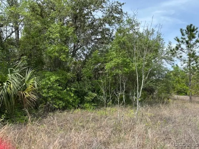 5831 W Dunnellon Road, Dunnellon, FL 34433 - #2