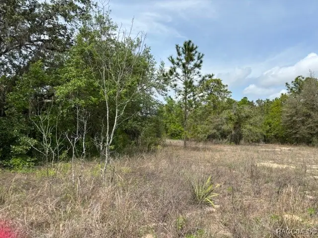 5831 W Dunnellon Road, Dunnellon, FL 34433 - #3