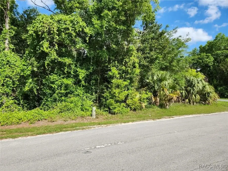477 S Rooks Avenue, Inverness Highlands North, FL 34463 - Image #2