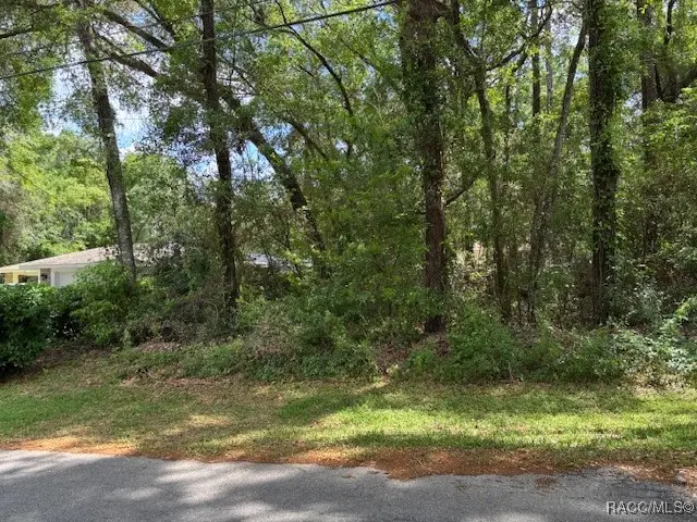 4229 S Canton Terrace, Inverness, FL 34452 - Image #3