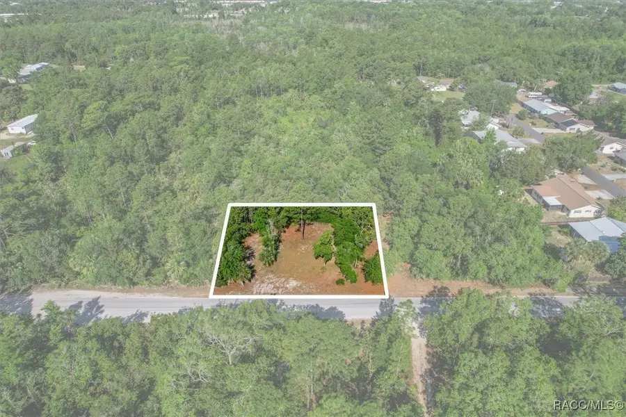 410 SE 12th Avenue, Crystal River, FL 34429 - #2