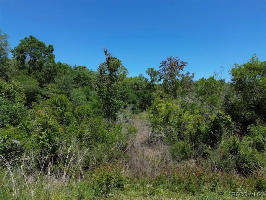 33455 Berryhill Drive, Webster, FL 33597 - #2