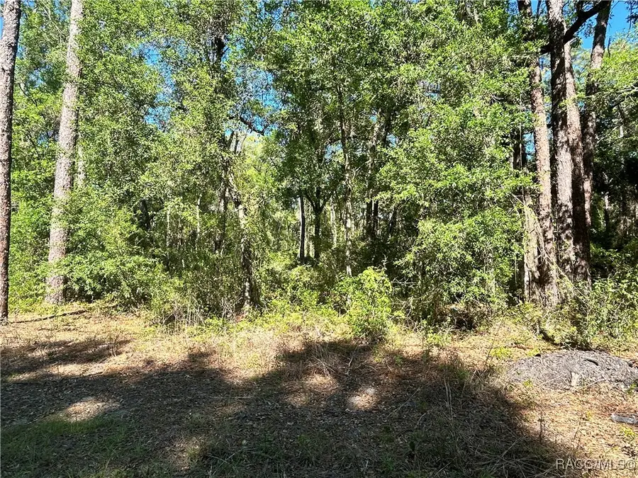 9319 S Florida Avenue, Floral City, FL 34436 - #2