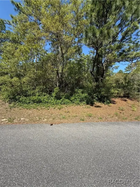 6526 N Shafton Terrace, Dunnellon, FL 34433 - #1