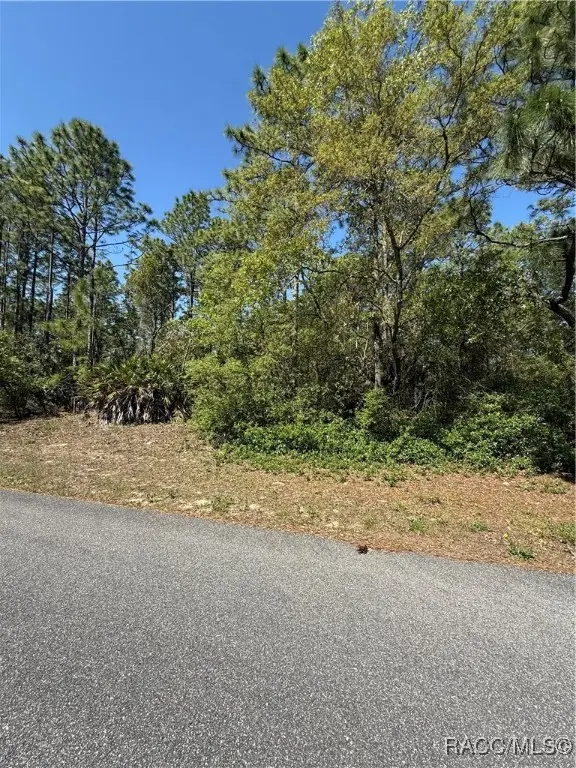 6526 N Shafton Terrace, Dunnellon, FL 34433 - #2