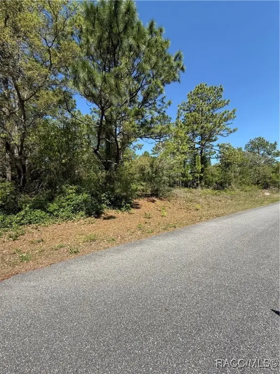 6526 N Shafton Terrace, Dunnellon, FL 34433 - #3