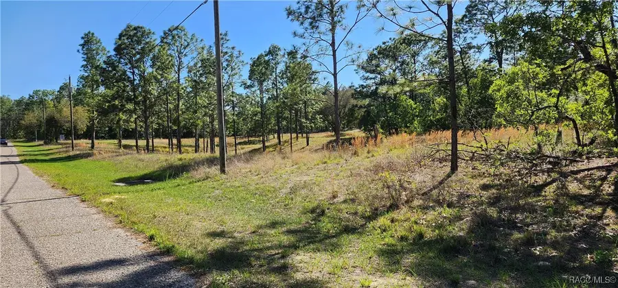 1812 W Oliver Drive, Citrus Springs, FL 34434 - Image #3