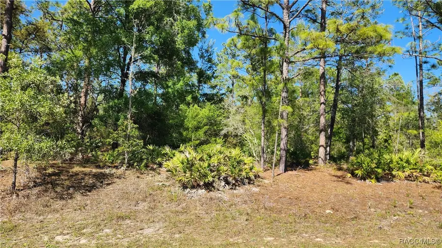 2747 W Gaspar Drive, Dunnellon, FL 34433 - #3