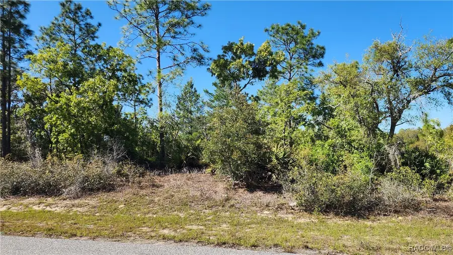 6204 N Hobson Terrace, Dunnellon, FL 34433 - #2