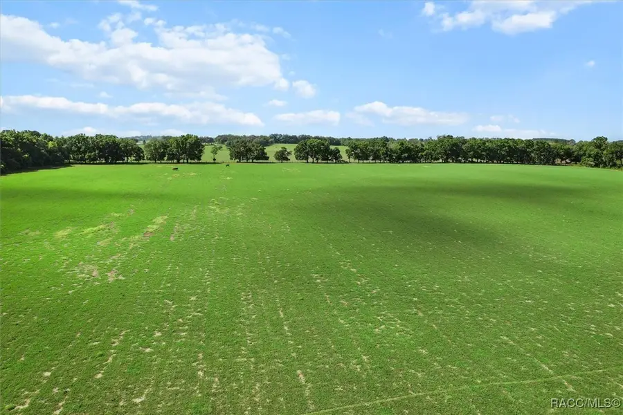 7352 SE 175th Avenue, Morriston, FL 32668 - Image #3