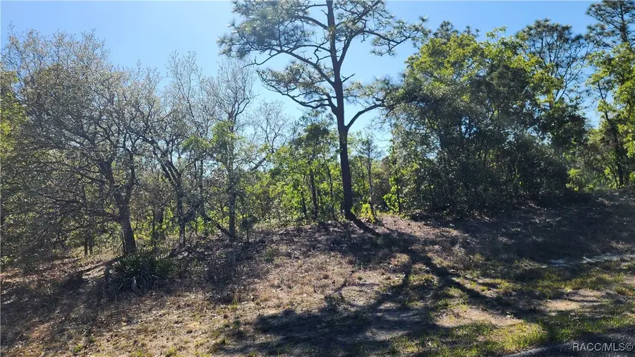 Address Withheld By Seller, Dunnellon, FL 34433 - #2