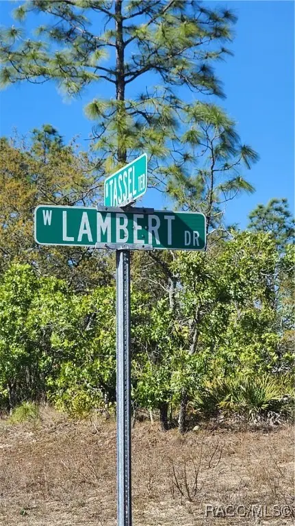 Address Withheld By Seller, Dunnellon, FL 34433 - #3