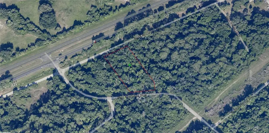 8637 N Bellflower Way, Crystal River, FL 34428 - Image #3