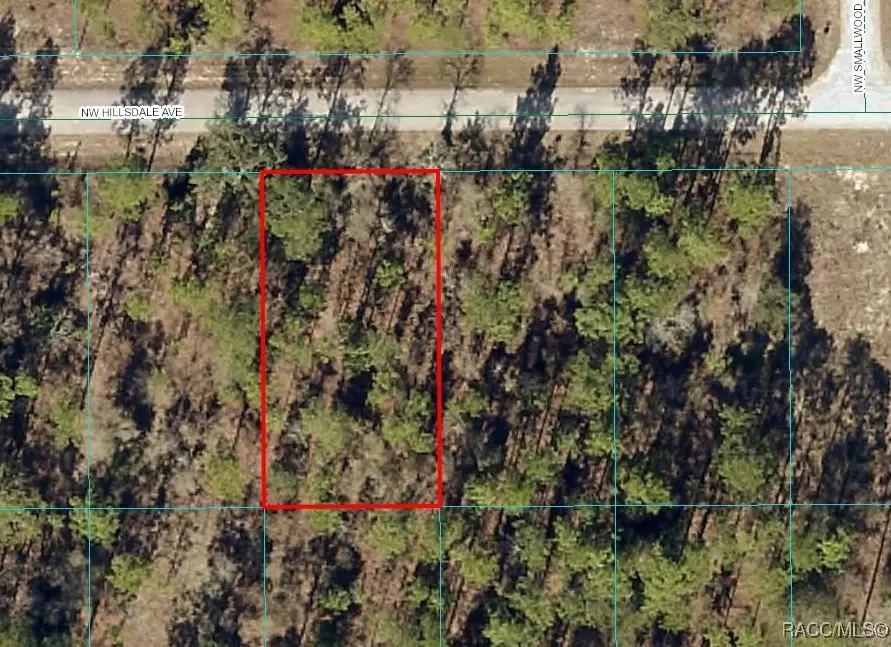 Lot 15 Nw Hillsdale Avenue, Dunnellon, FL 34431 - #1