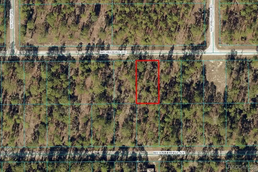 Lot 15 Nw Hillsdale Avenue, Dunnellon, FL 34431 - #2