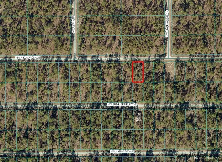 Lot 15 Nw Hillsdale Avenue, Dunnellon, FL 34431 - #3