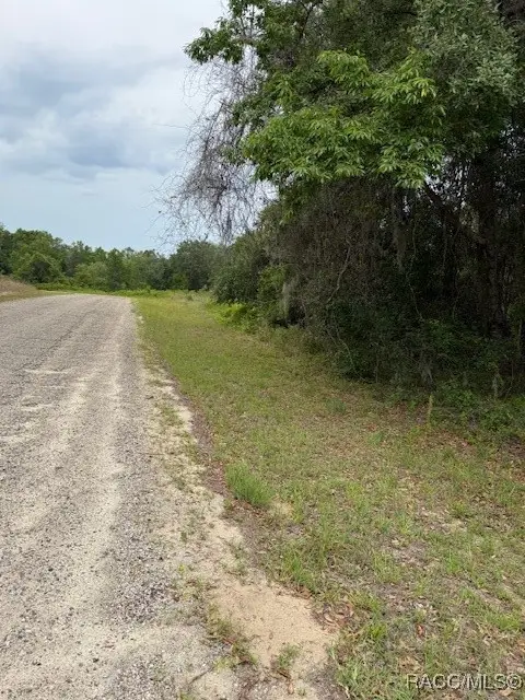 7911 N. Walton Terrace, Citrus Springs, FL 34434 - Image #2