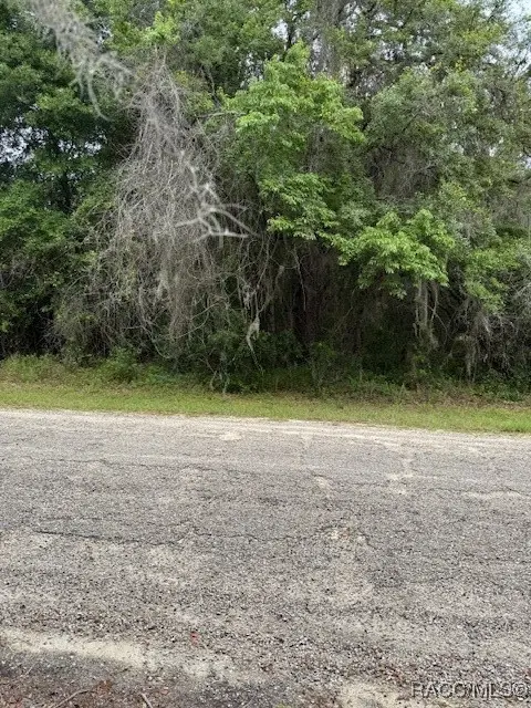 7911 N. Walton Terrace, Citrus Springs, FL 34434 - Image #3