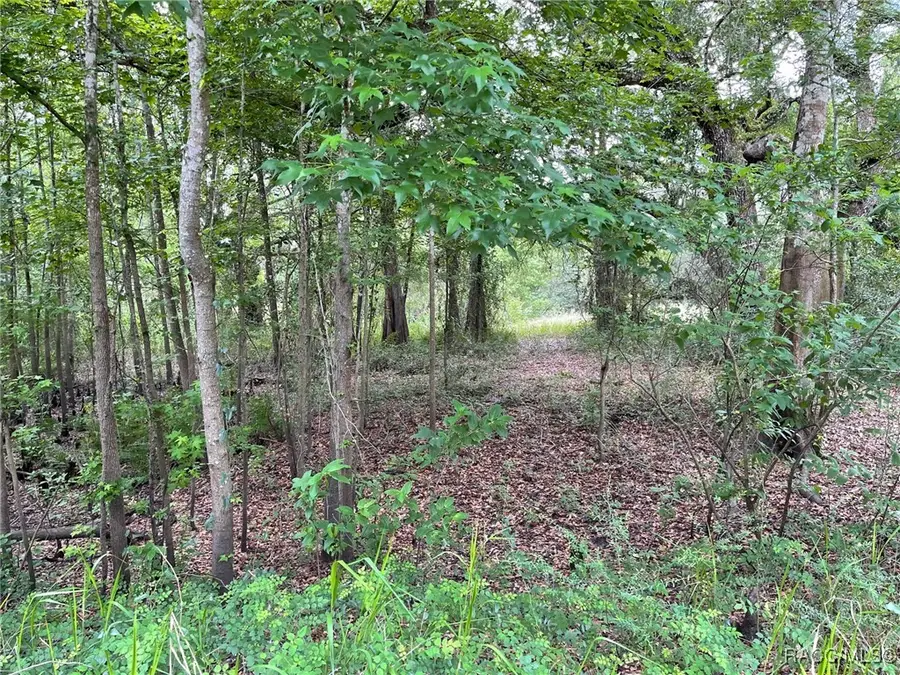TBD Cortez Boulevard, Dade City, FL 33523 - Image #3
