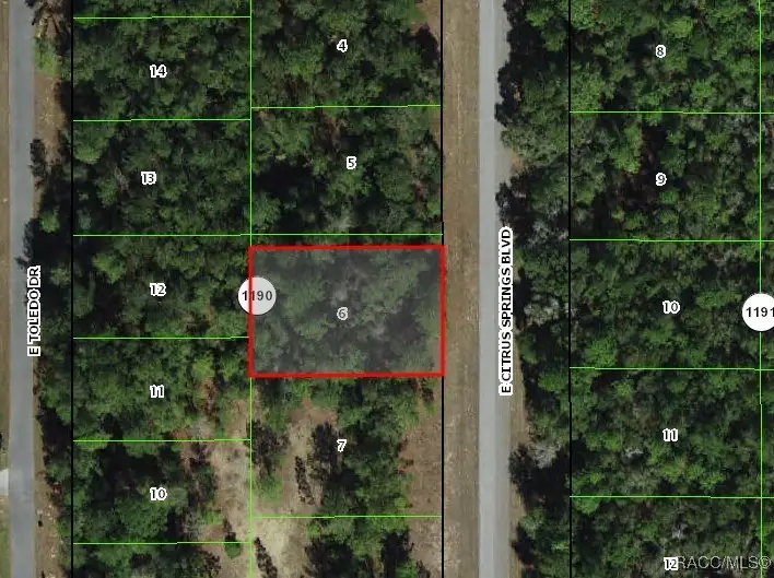1471 E Citrus Springs Boulevard, Citrus Springs, FL 34434 - Image #2