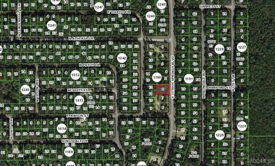 1471 E Citrus Springs Boulevard, Citrus Springs, FL 34434 - Image #3