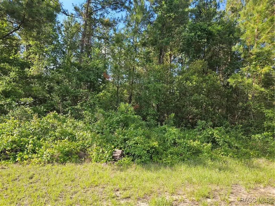 622 E Abady Lane, Citrus Springs, FL 34434 - Image #2