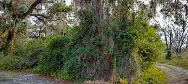 63 N Sheltering Oaks Drive, Inverness, FL 34453