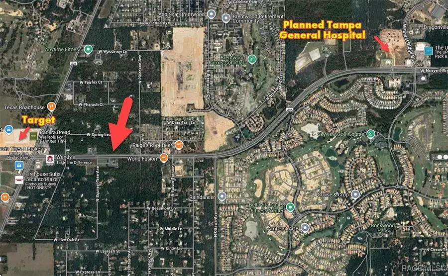 2553 W Norvell Bryant Highway, Lecanto, FL 34461 - Image #2