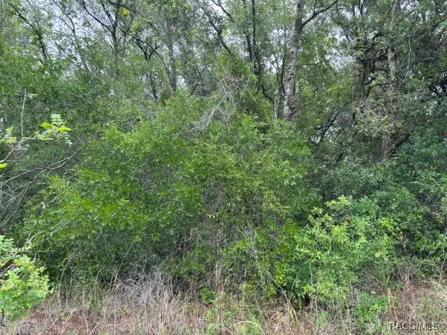 93 N Croft Avenue, Inverness, FL 34453 - Image #2