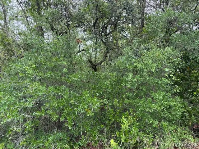 93 N Croft Avenue, Inverness, FL 34453 - Image #3