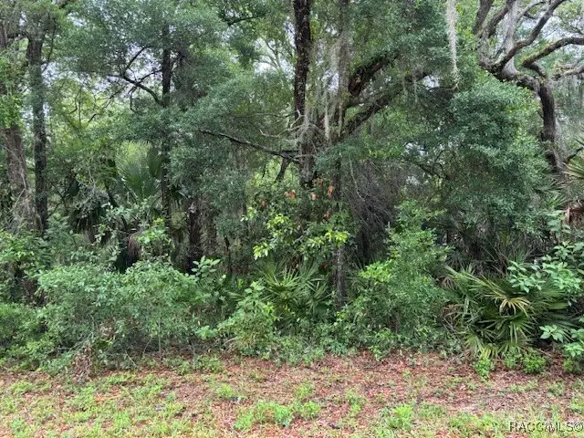 9657 W Gardeners Lane, Crystal River, FL 34428 - Image #2