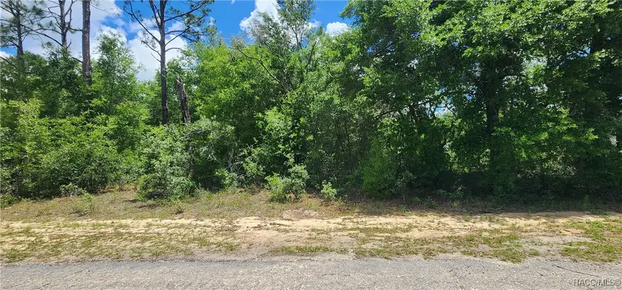 8619 N Dove Orchid Drive, Citrus Springs, FL 34434 - Image #2