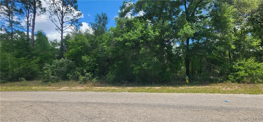 8619 N Dove Orchid Drive, Citrus Springs, FL 34434 - Image #3