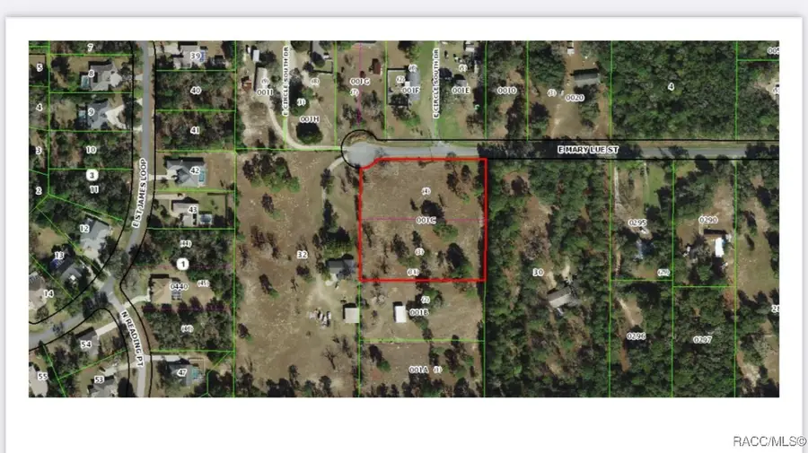 1502 N Popcorn Point, Inverness, FL 34453 - Image #2