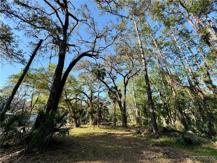 10600 and 10603 W Oliver Street, Homosassa, FL 34448 - Image #2