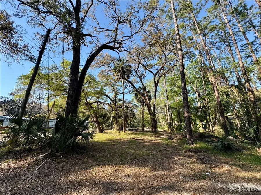 10600 and 10603 W Oliver Street, Homosassa, FL 34448 - Image #3