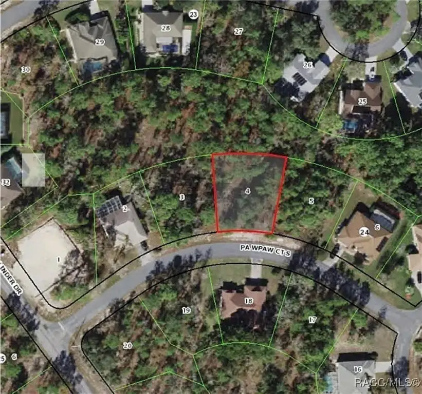 11 Paw Paw Court S, Homosassa, FL 34446 - Image #3