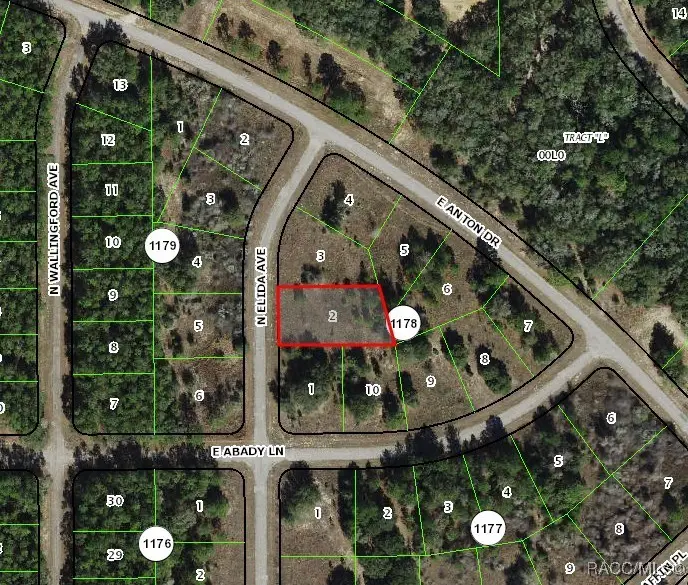 8823 N Elida Avenue, Citrus Springs, FL 34434 - Image #2