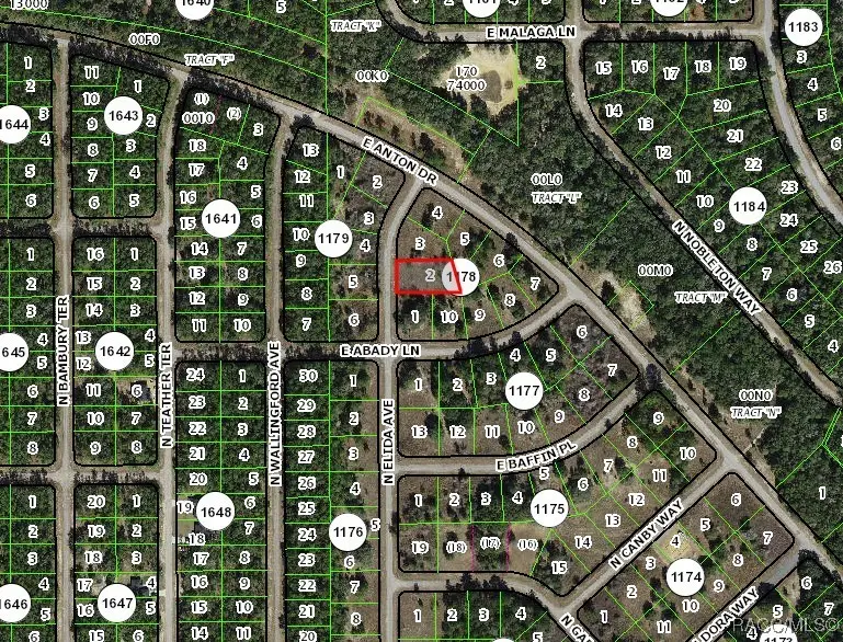 8823 N Elida Avenue, Citrus Springs, FL 34434 - Image #3