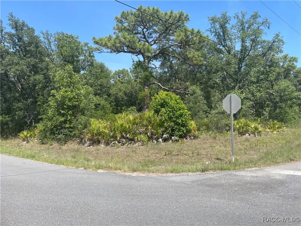 6645 W Erlen Lane, Homosassa, FL 34448 - Image #1