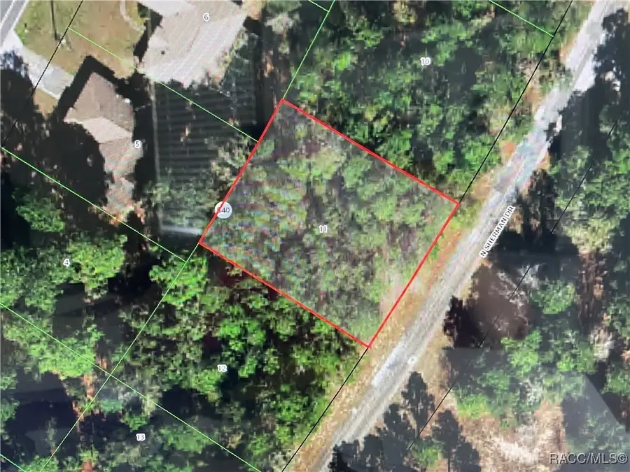 10380 N Sherman Drive, Citrus Springs, FL 34434 - #3