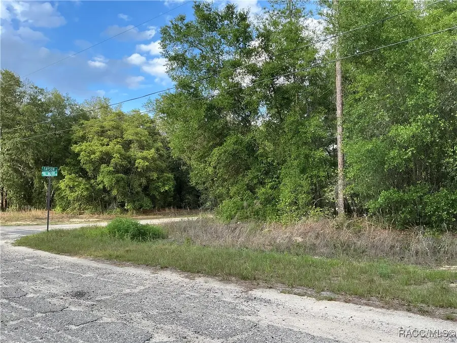 8479 N Wallingford Avenue, Citrus Springs, FL 34434 - Image #2