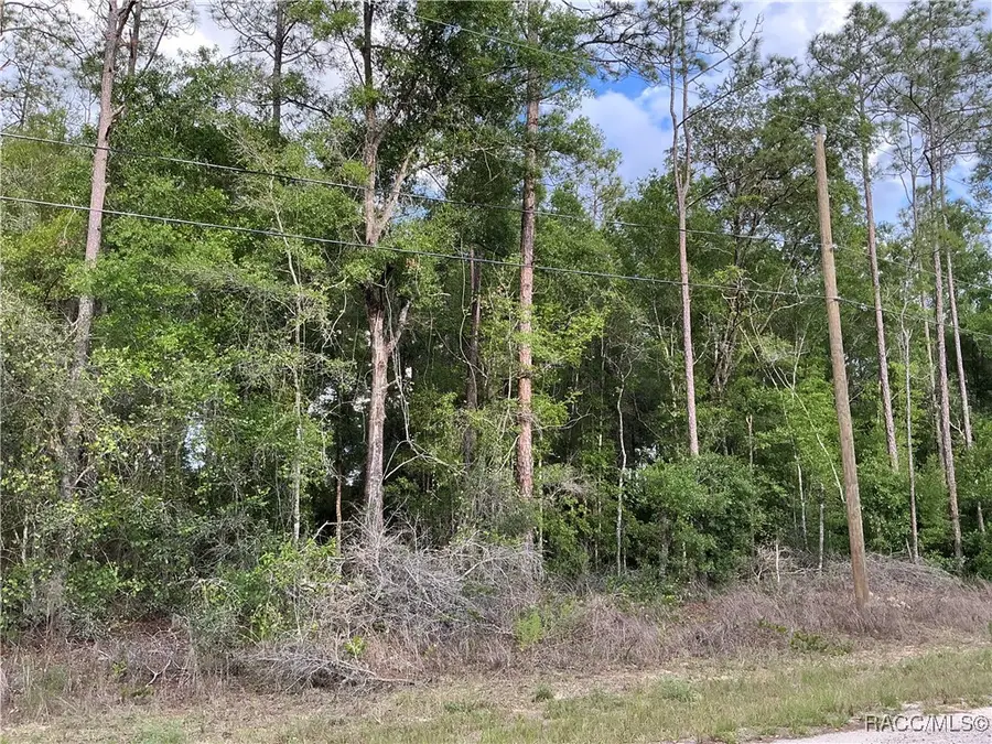 8479 N Wallingford Avenue, Citrus Springs, FL 34434 - Image #3