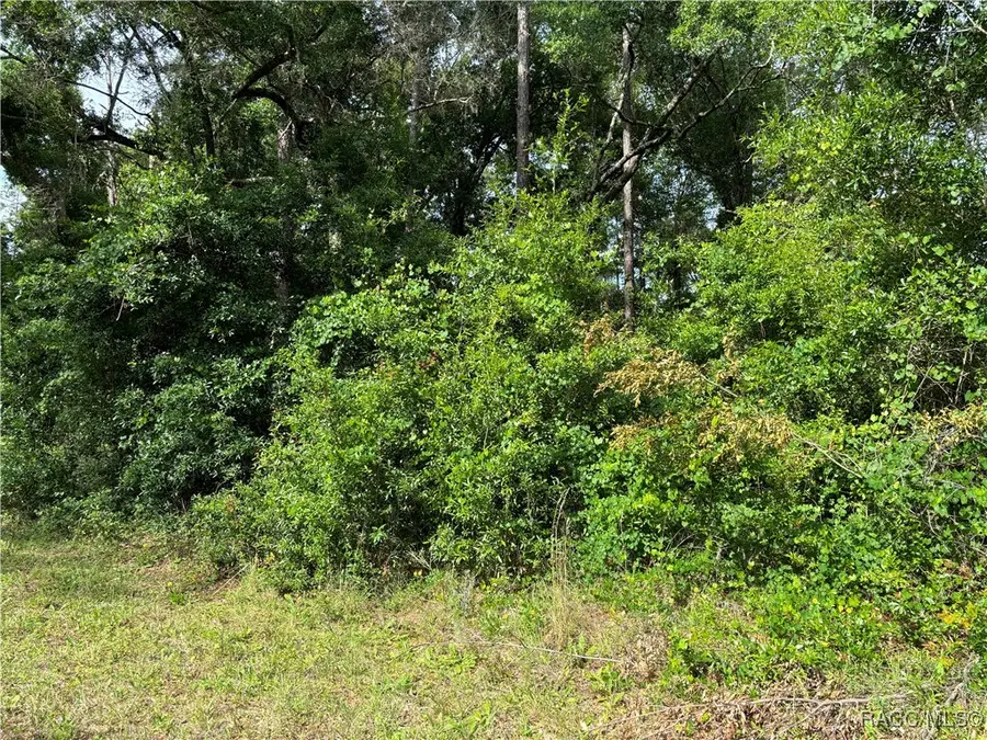 11312 N Fuego Drive, Citrus Springs, FL 34434 - Image #3