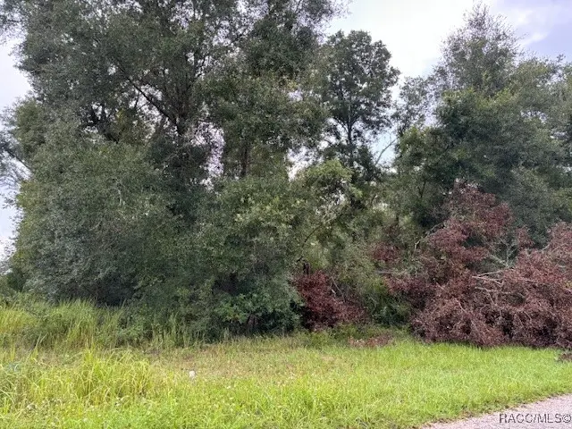 9299 N Sagamore Terrace, Citrus Springs, FL 34434 - Image #1