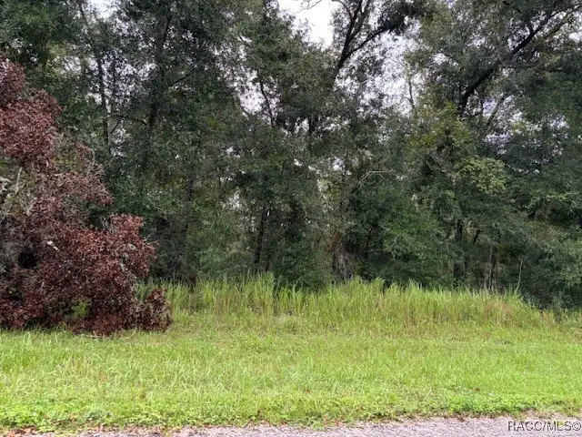 9299 N Sagamore Terrace, Citrus Springs, FL 34434 - Image #2