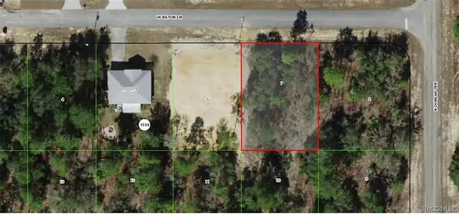 3816 W Baton Lane, Citrus Springs, FL 34433 - #2