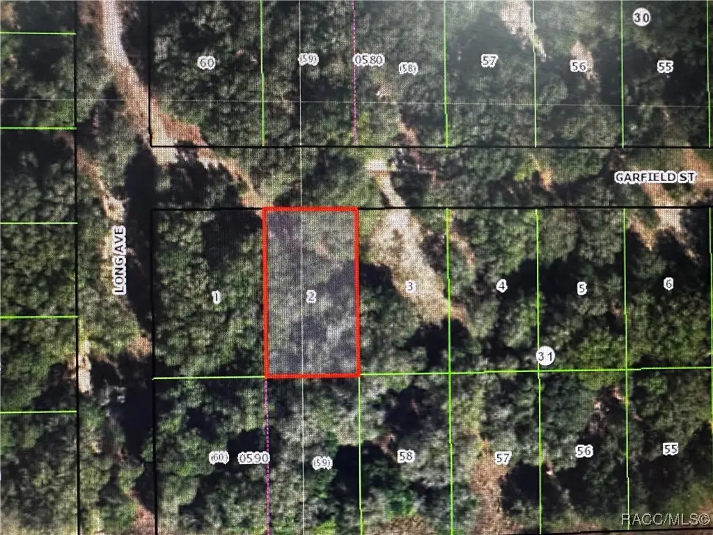 2607 Garfield Street, Inverness, FL 34453 - Image #1