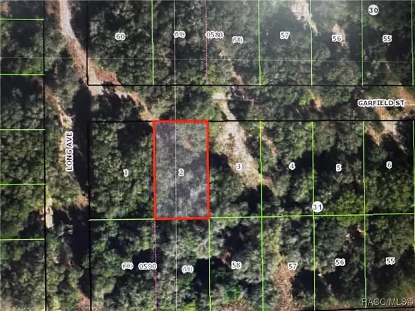 2607 Garfield Street, Inverness, FL 34453