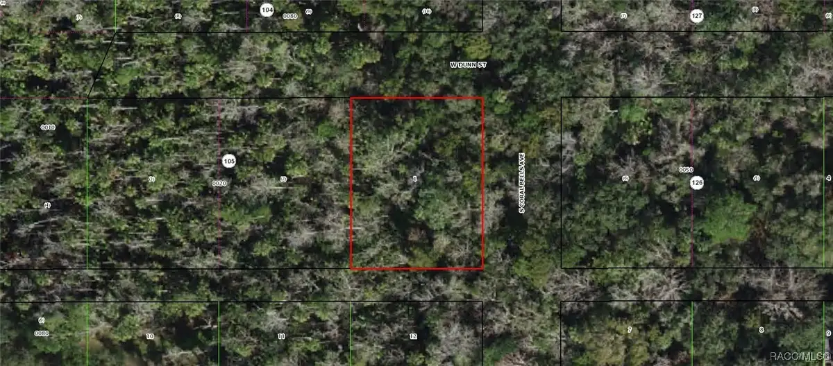 10388 W Dunn Street, Homosassa, FL 34448 - Image #1
